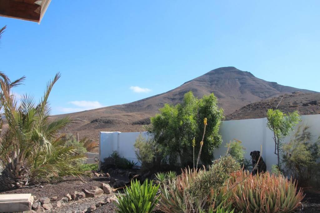 Casa Madre Tierra Lägenhet La Pared  Exteriör bild