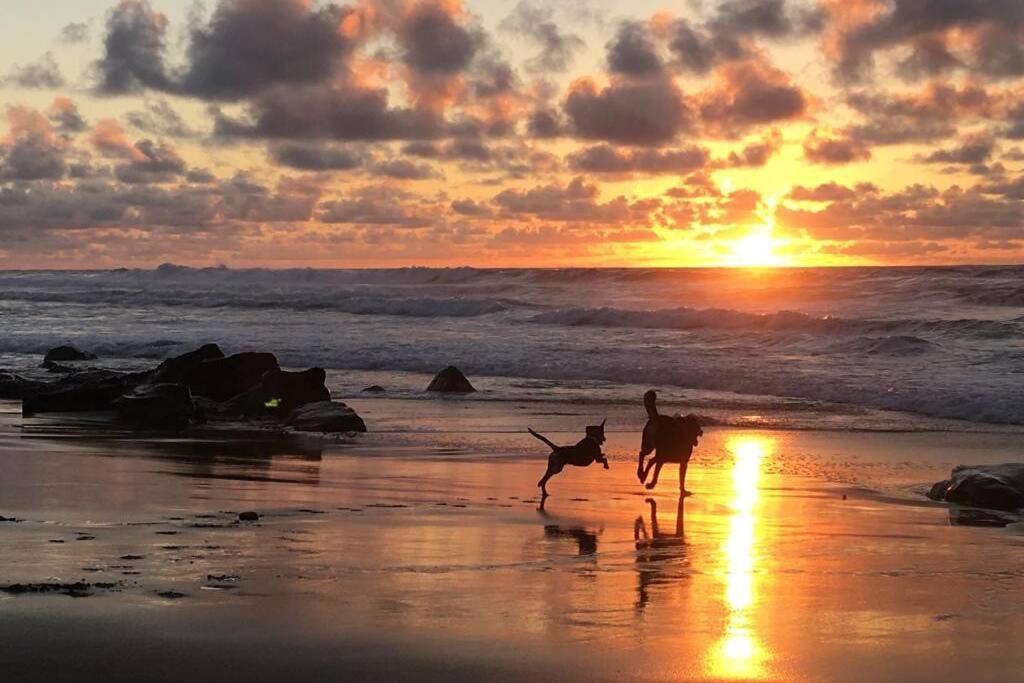 Casa Madre Tierra Lägenhet La Pared  Exteriör bild