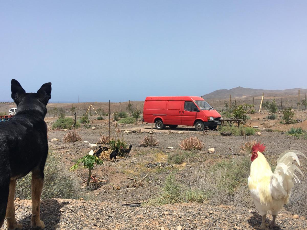 Casa Madre Tierra Lägenhet La Pared  Exteriör bild